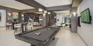 Maitland City Centre Gallery 19