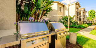 The Galleria Apartment Homes Gallery 23