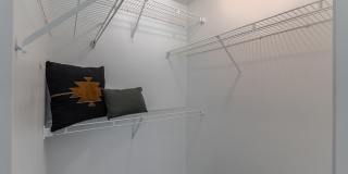 Vines at Turtle Creek Gallery 81