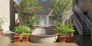 Warner Courtyard Apartments Gallery 22