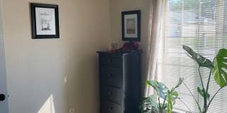 Available 06/24/2026 Gallery 29