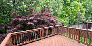 9619 GLENDOWER Court Gallery 9