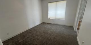23003 N 77TH Way Gallery 40