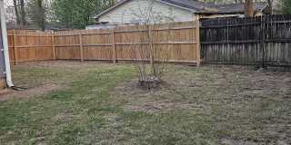 10224 Jana Dr Gallery 12