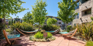 Fiori Estates Gallery 8