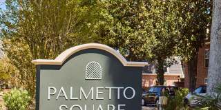 Palmetto Square Gallery 13