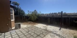 4373 Red Maple Way - Main Gallery 25