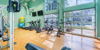 Timber Hollow Gallery 14