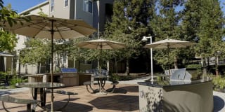 Avalon Campbell Gallery 21