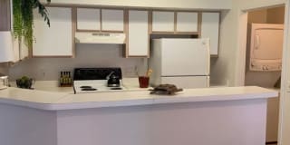 Windsor Place Gallery 9