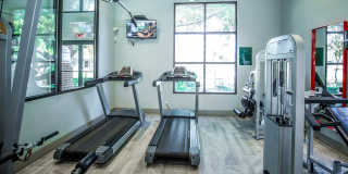 Mosaic at Medical Gallery 43