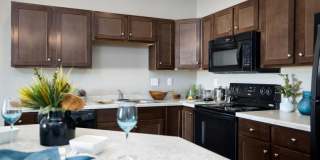 University Commons Gallery 15