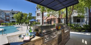 Lake Clearwater Gallery 33