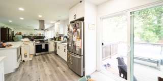 3709 Avenida Palo Verde Gallery 5