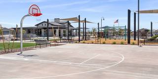 The Nexus at Bella Vista Gallery 28