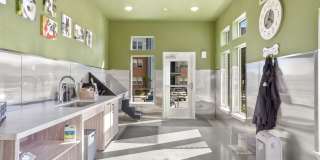 Polaris Junction Gallery 35