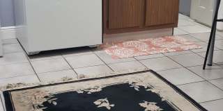 1389 Hibiscus St Gallery 17