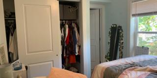 1609 Sydenham Gallery 13