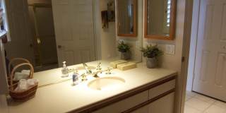 195 Desert Lakes Drive Gallery 21