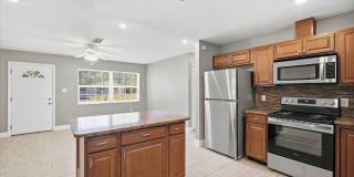 Beautifully Renovated 3-Bedroom, 2-Bath Tampa Home in Forest Hills Gallery 10