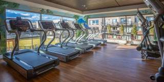 Parc Mosaic Apartment Homes Gallery 11