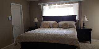 Long Term & Short Terms Options Furnished Pool Home!!! Gallery 21