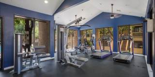 Mountain Run Gallery 17