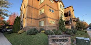 Sierra Point Gallery 2