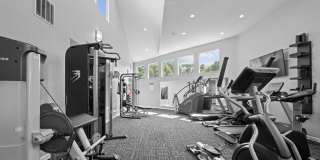 The Arboretum Gallery 15