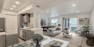 Quail Cove Gallery 18