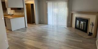 Dolph Court Gallery 1