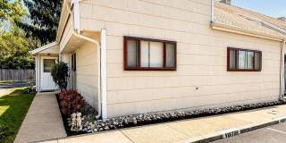 51 Chiswick Drive - 1 Gallery 15