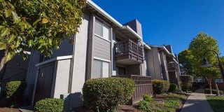 Laurel Grove Residences Laurel Grove Residences Gallery 1