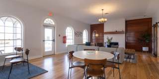 Canter Chase Gallery 12