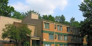 Woodland Park Gallery 1