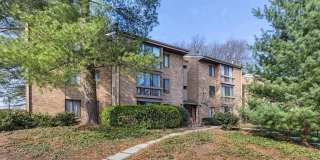 10528 CROSS FOX Lane unit: F-2 Gallery 1