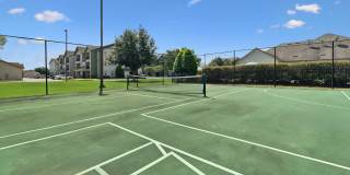 Bayou Reserve Gallery 43