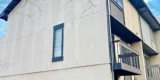 2200 WHITE CORNUS Lane 2200 WHITE CORNUS Lane Gallery 3