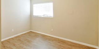 1506 Lemon Tree Lane Gallery 16