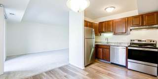 Orchard Square Gallery 11