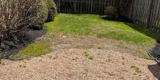 7511 WEATHERBY DR Gallery 28