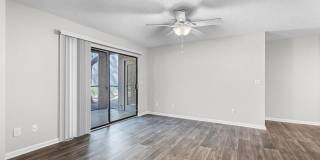 Sabal Palm at Lake Buena Vista Gallery 12