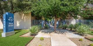 Palm Desert Gallery 2