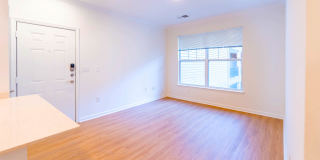 Fairchase Gallery 40