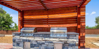 The Modern Gallery 52