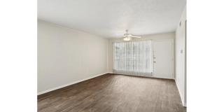 Woodlands of Plano Gallery 29