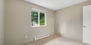 ReNew Dash Point Gallery 33