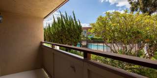 Volterra at La Mesa Gallery 45