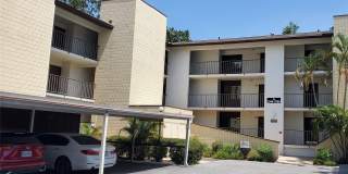 2756 ORCHID OAKS DRIVE Gallery 1