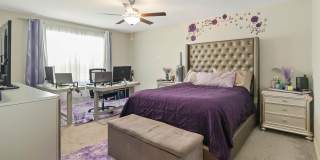 5256 White Chicory Drive Gallery 7